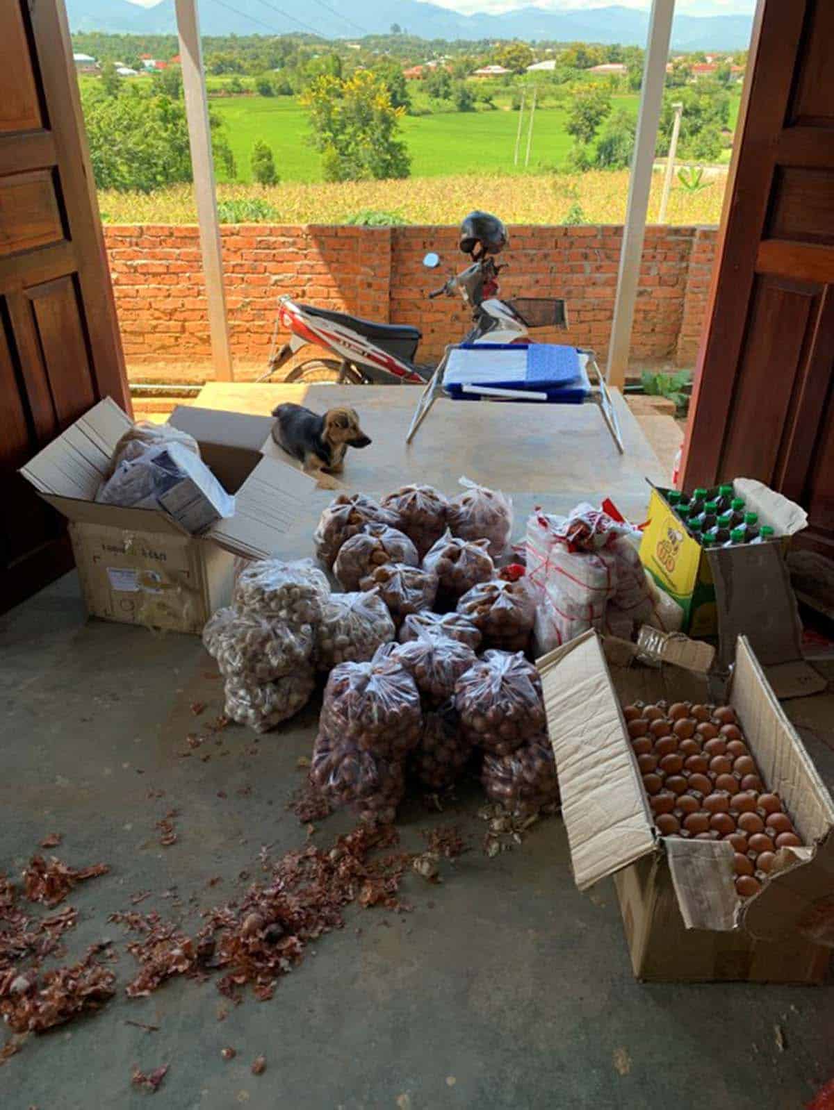 Burma-pandemic-coup-aid